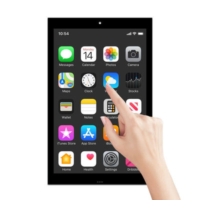 10 inch LCD-module IPS-LCD-touchscreen met hoge resolutie